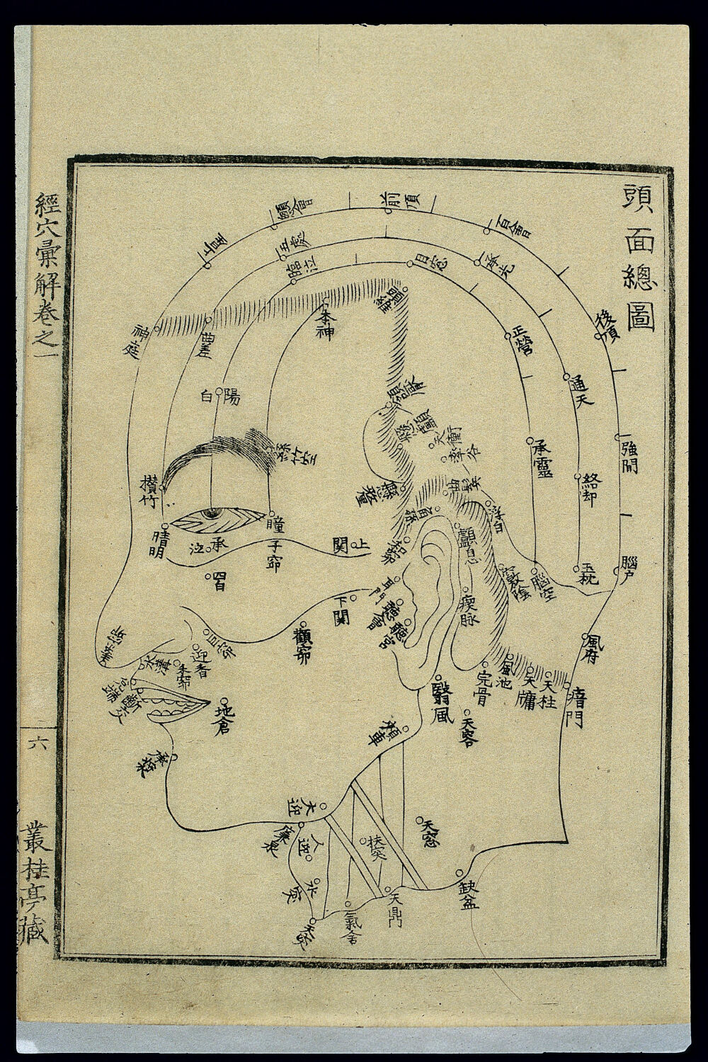 头面部经穴图，日本木版，1807 年