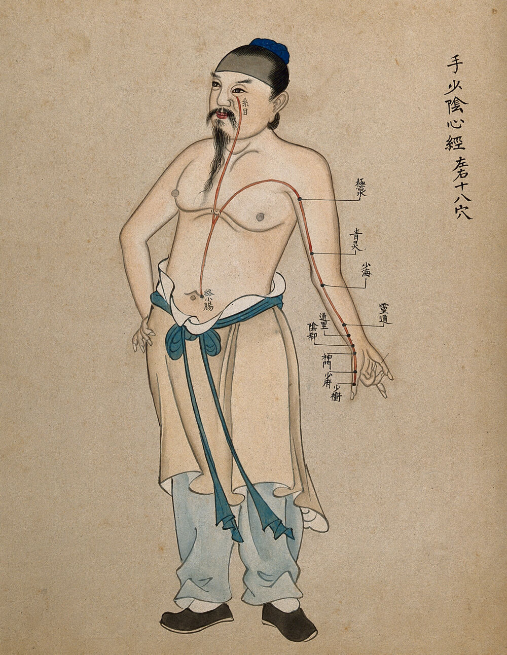手少阴心经图,水彩,中国